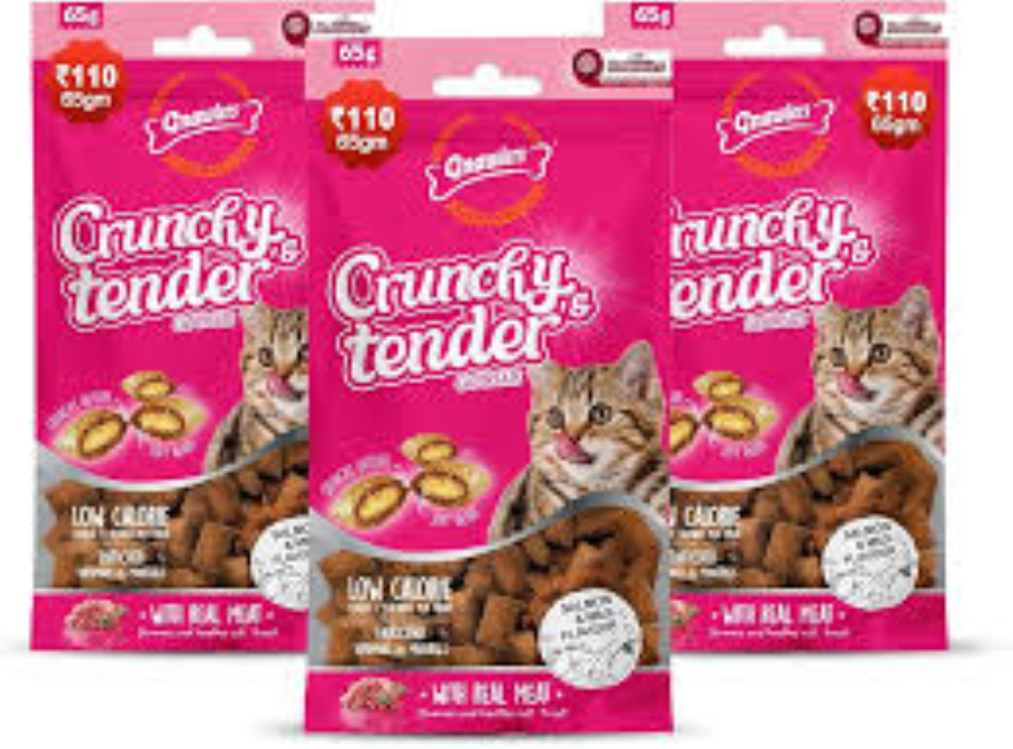 CRUNCHY & TENDER TASTY SALMON FLAVOUR 65GR